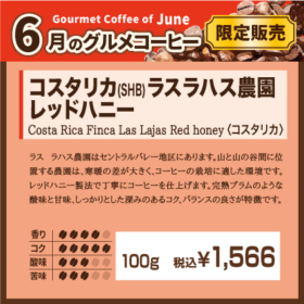 6月グルメコーヒー コスタリカ ラスラハス農園レッドハニー