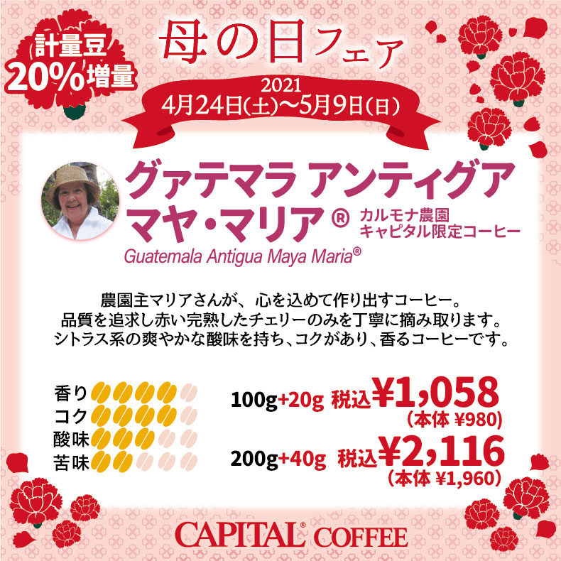 母の日おすすめコーヒー20%増量 Guatemala antigua Maya maria®【キャピタルコーヒー/CAPITAL】