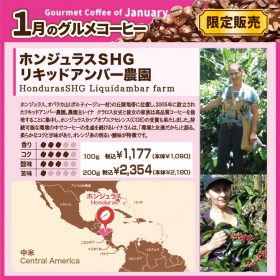 1月のグルメコーヒー ホンジュラスSHGリキッドアンバー農園【キャピタルコーヒー/CAPITAL】