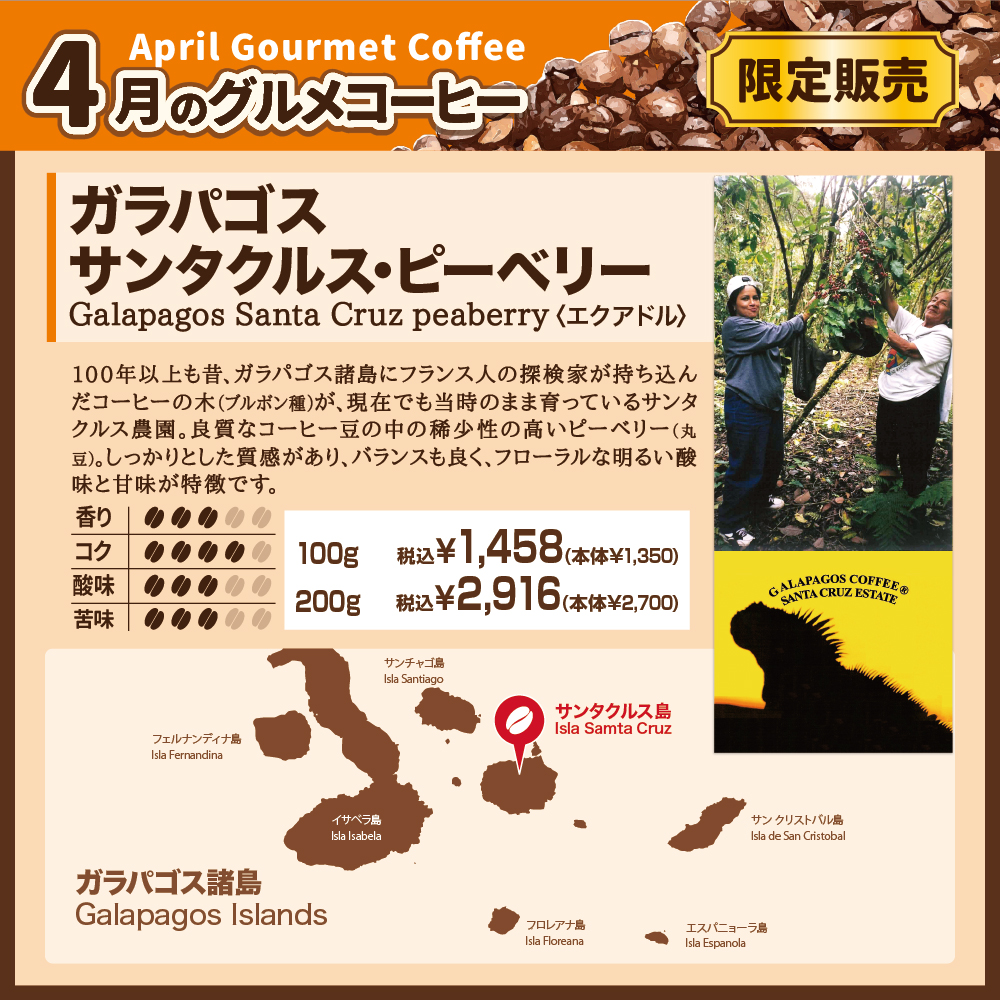 4月のグルメコーヒー 22ガラパゴス サンタクルス ピーベリー Capital